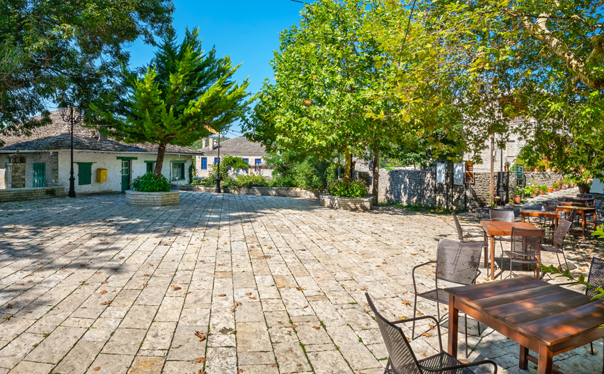 ΜΟΝΟΔΕΝΔΡΙ ΖΑΓΟΡΙ ΜΟΝΟΔΕΝΔΡΙ ΖΑΓΟΡΙ