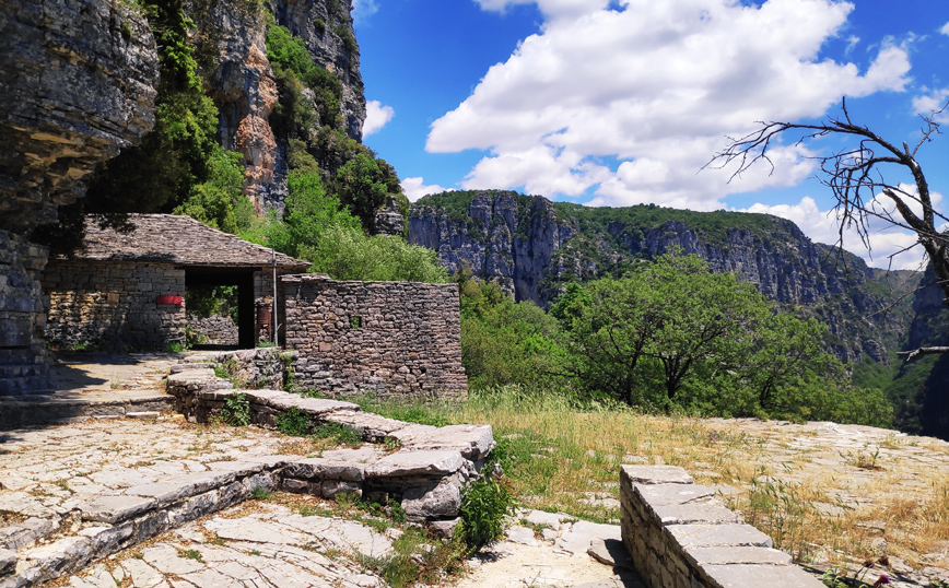 ΜΟΝΟΔΕΝΔΡΙ ΖΑΓΟΡΙ ΜΟΝΟΔΕΝΔΡΙ ΖΑΓΟΡΙ