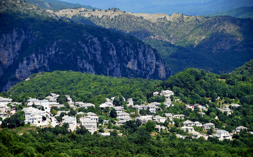 ΜΟΝΟΔΕΝΔΡΙ ΖΑΓΟΡΙ ΜΟΝΟΔΕΝΔΡΙ ΖΑΓΟΡΙ