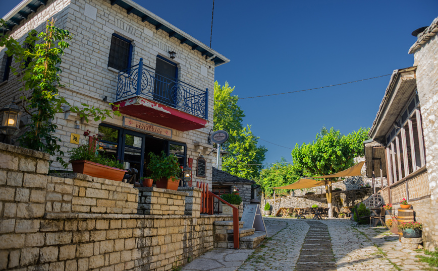 ΜΟΝΟΔΕΝΔΡΙ ΖΑΓΟΡΙ ΜΟΝΟΔΕΝΔΡΙ ΖΑΓΟΡΙ