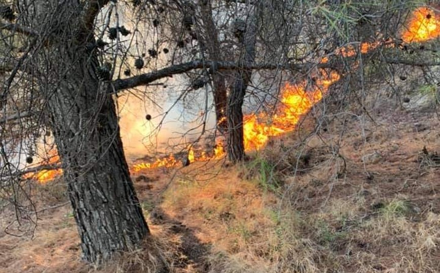 Φωτιά στην Πάρνηθα: Οι πρώτες εικόνες από την πυρκαγιά