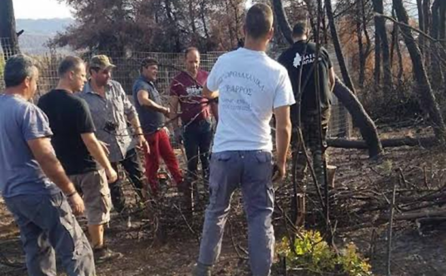 Φωτιές στην Εύβοια: Σε εξέλιξη οι εργασίες αποκατάστασης στις πυρόπληκτες περιοχές – Τα έργα και οι χρηματοδοτήσεις