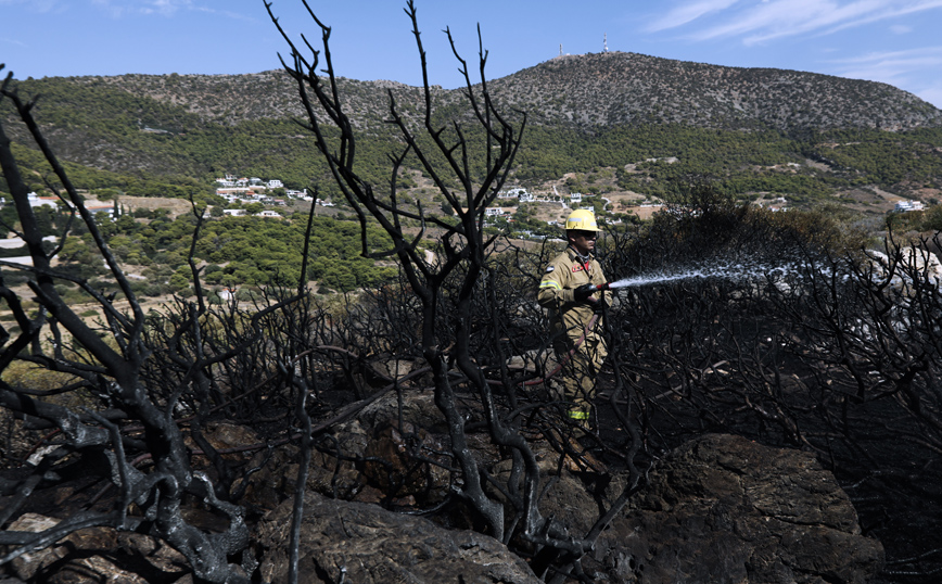 Υπό έλεγχο η πυρκαγιά στην Ανάβυσσο