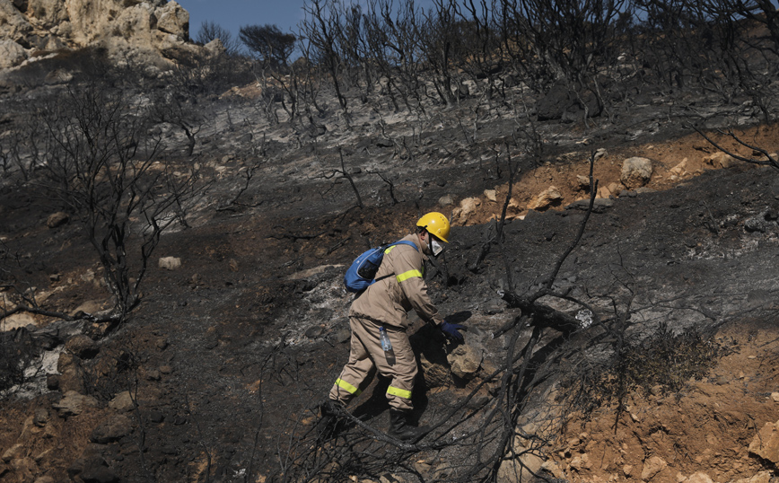 ΦΩΤΙΑ ΦΩΤΙΑ