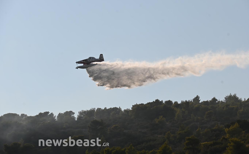 Εικόνες από τη φωτιά στην Πάρνηθα – Στη μάχη και εναέρια μέσα