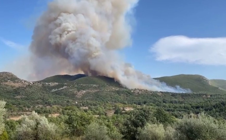 Φωτιά τώρα στη Μεγαλόπολη Αρκαδίας &#8211; Μήνυμα από το 112 καλεί σε ετοιμότητα