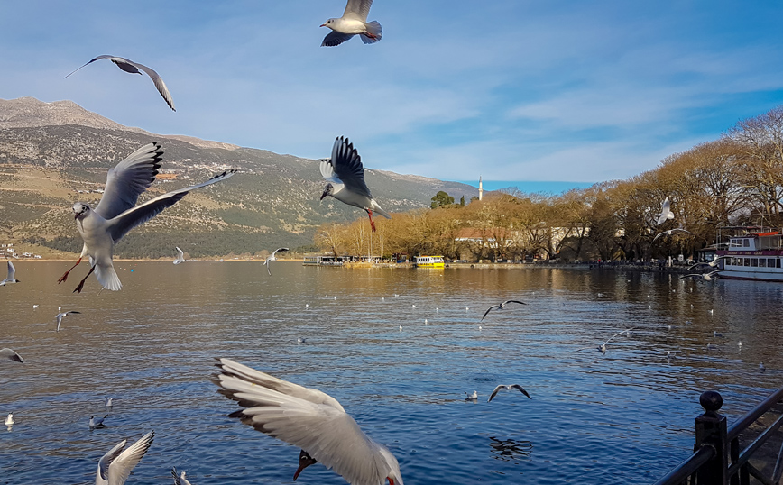 Καιρός: Ξύπνησαν και το θερμόμετρο έδειχνε 4,3 βαθμούς