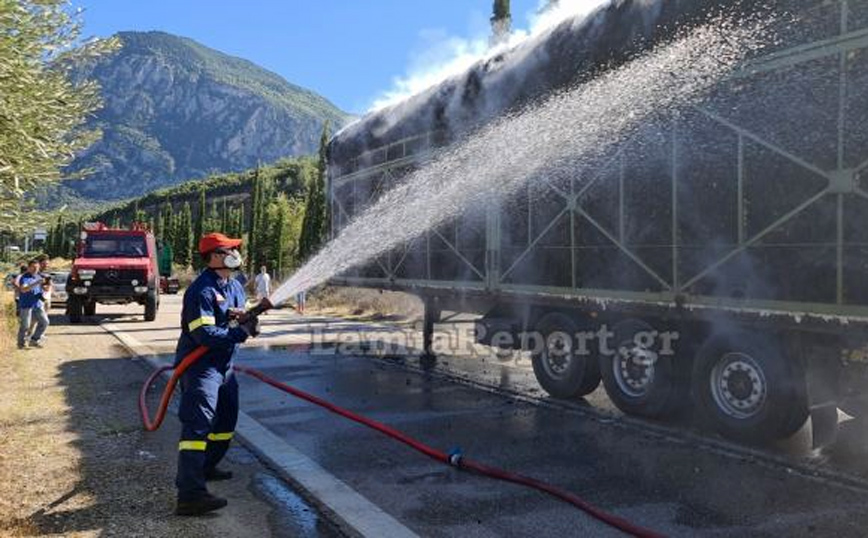 Λαμία: Νταλίκα με βαμβάκι πήρε φωτιά – Οι φλόγες επεκτάθηκαν την Εθνική Οδό