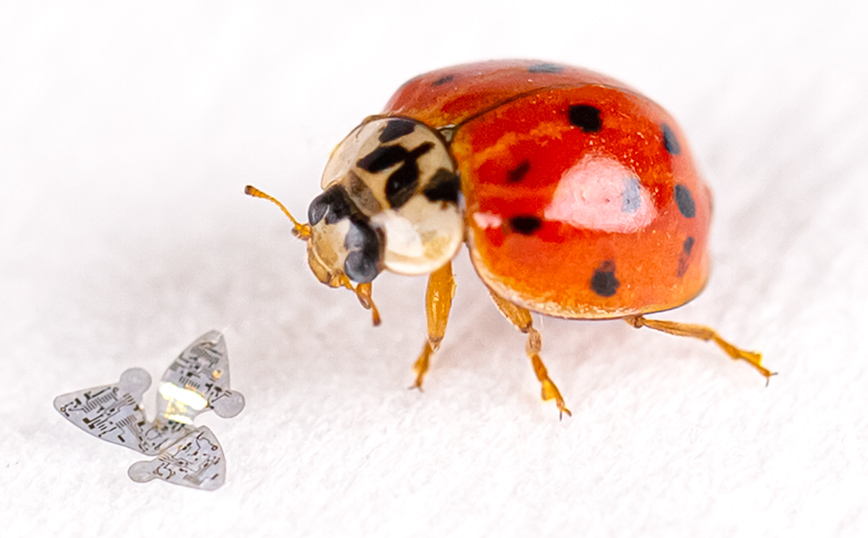 Το πρώτο ιπτάμενο μικροτσίπ Το πρώτο ιπτάμενο μικροτσίπ