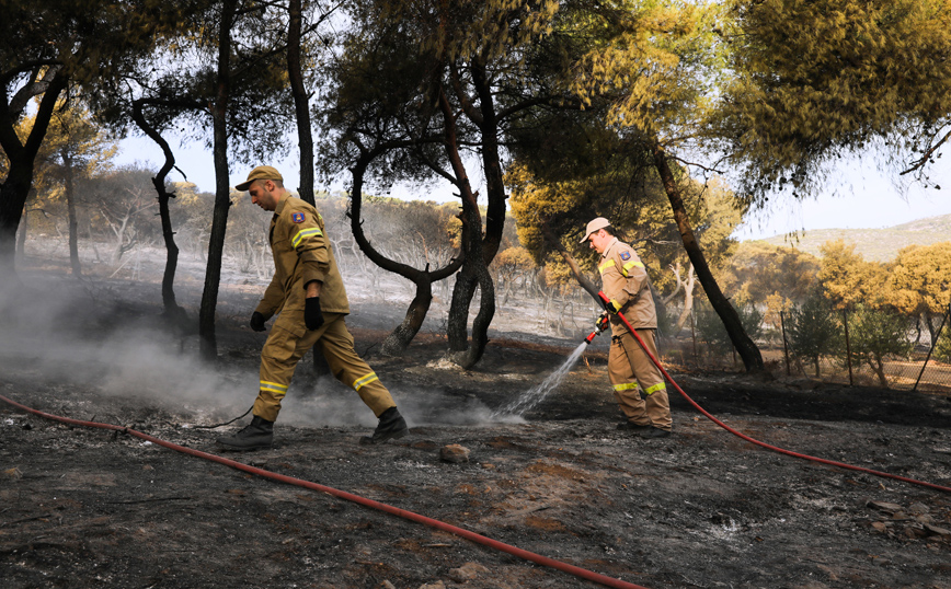 Φωτιά στη Νέα Μάκρη: «Δεν μπορεί να ήταν κάτι άλλο εκτός από εμπρησμός» καταγγέλλει ο δήμαρχος στο Newsbeast