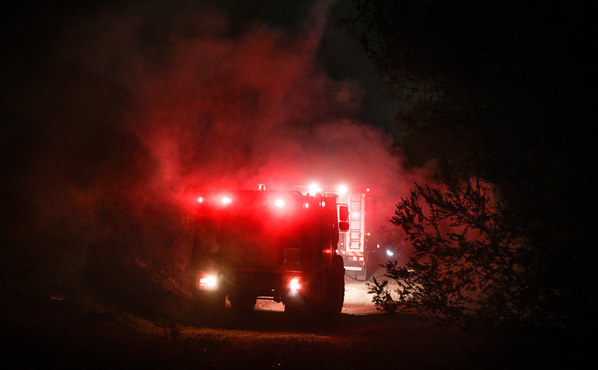 ΝΕΑ ΜΑΚΡΗ ΝΕΑ ΜΑΚΡΗ