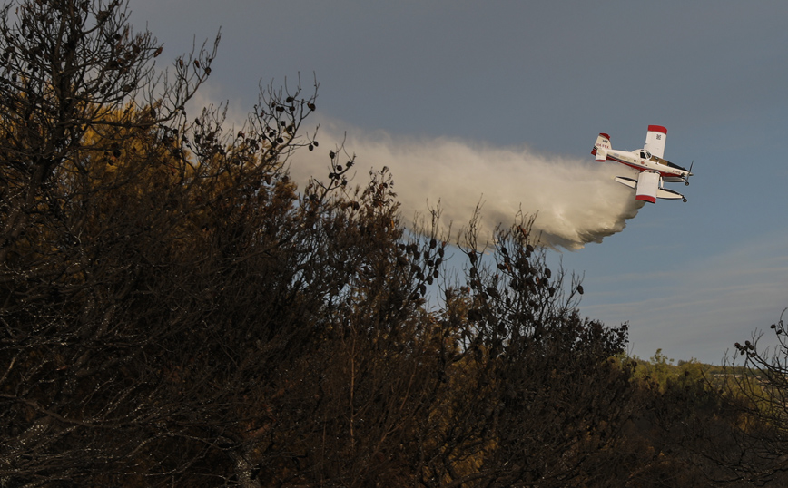 ΝΕΑ ΜΑΚΡΗ ΝΕΑ ΜΑΚΡΗ