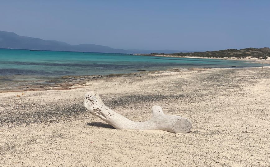 Σε αυστηρό καθεστώς προστασίας η νήσος Χρυσή και το Μικρονήσι