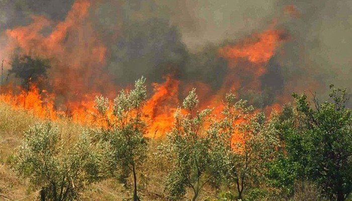 Φωτιά τώρα στο Ρέθυμνο