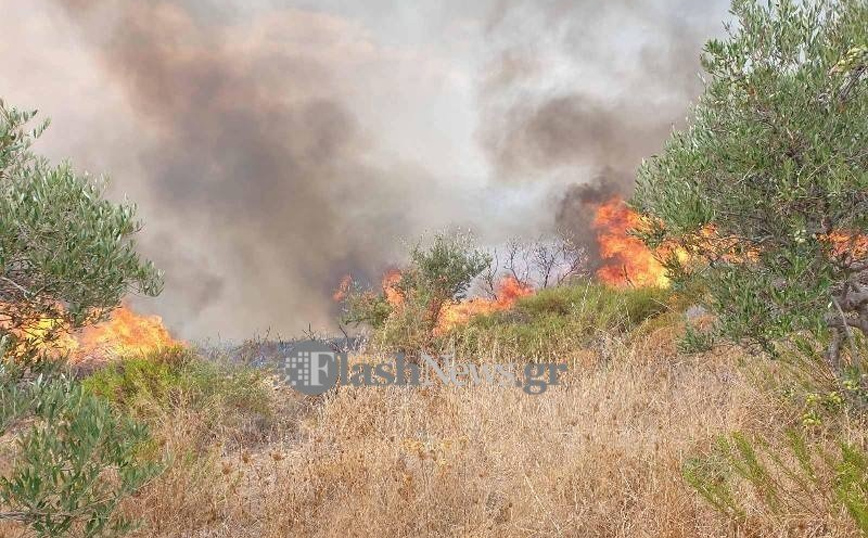 Φωτιά στα Χανιά – Οι πρώτες εικόνες από το μέτωπο της πυρκαγιάς