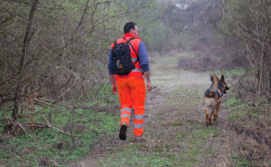 διασώστης με σκύλος σε αναζήτηση