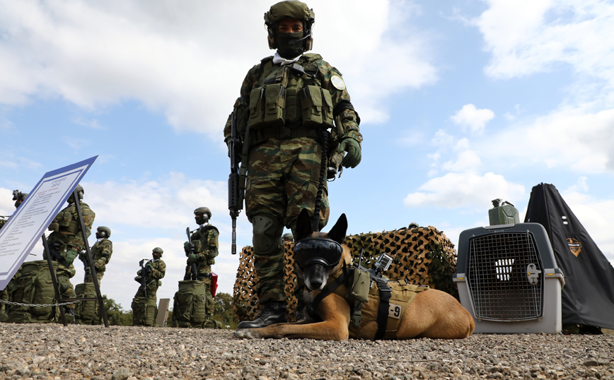 ΤΑΜΣ «ΠΑΡΜΕΝΙΩΝ-21» ΣΤΟ Π.Β.-Π.Α. «ΨΗΛΟΥ ΣΤΑΛΟΥ» ΣΤΟΝ ΕΒΡΟ (ΤΑΜΣ «ΑΙΣΙΟΣ ΟΙΩΝΟΣ-21») ΤΑΜΣ «ΠΑΡΜΕΝΙΩΝ-21» ΣΤΟ Π.Β.-Π.Α. «ΨΗΛΟΥ ΣΤΑΛΟΥ» ΣΤΟΝ ΕΒΡΟ (ΤΑΜΣ «ΑΙΣΙΟΣ ΟΙΩΝΟΣ-21»)