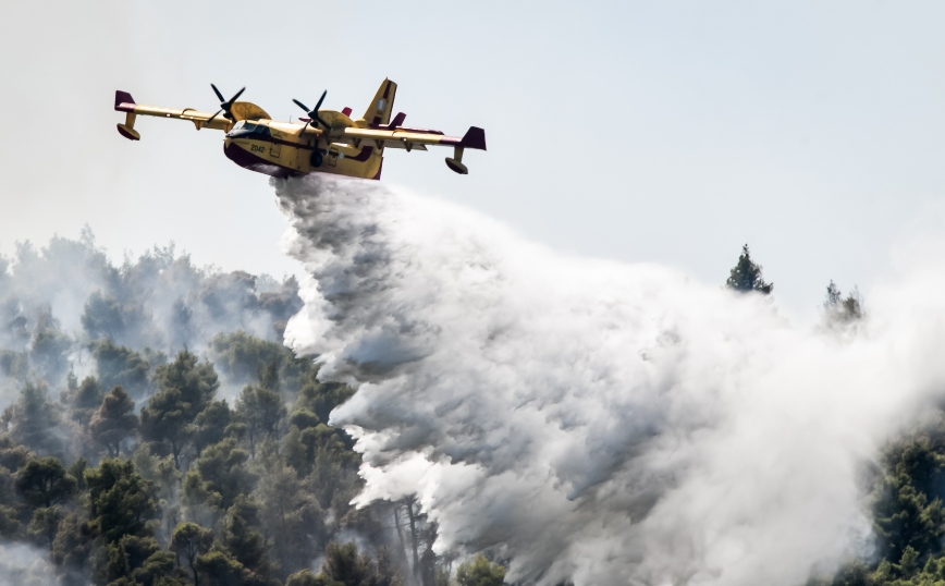 Υπό μερικό έλεγχο η φωτιά στην ανατολική Μάνη