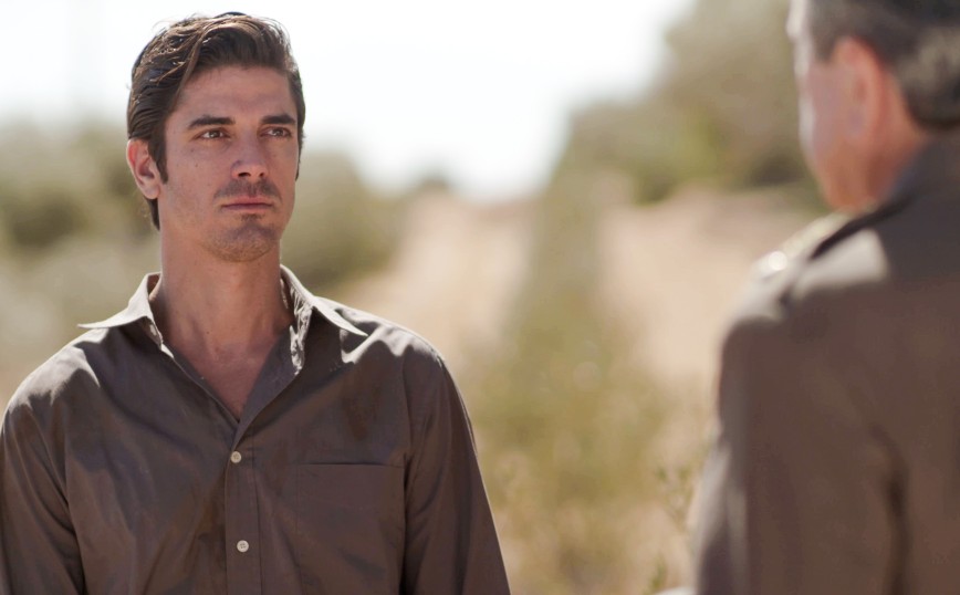 Άγριες Μέλισσες Άγριες Μέλισσες