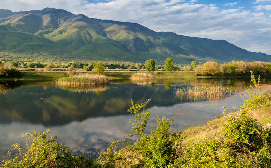 Ειδυλλιακό το τοπίο στη λίμνη Κερκίνη Ειδυλλιακό το τοπίο στη λίμνη Κερκίνη