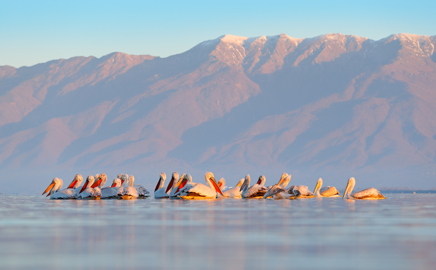 Ειδυλλιακό το τοπίο στη λίμνη Κερκίνη Ειδυλλιακό το τοπίο στη λίμνη Κερκίνη