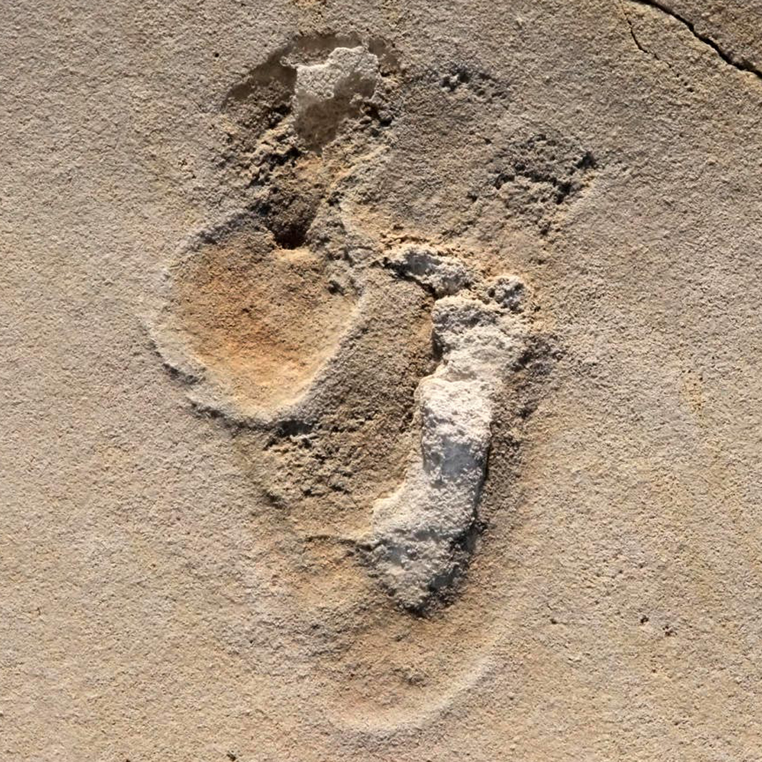 Κρήτη Κρήτη