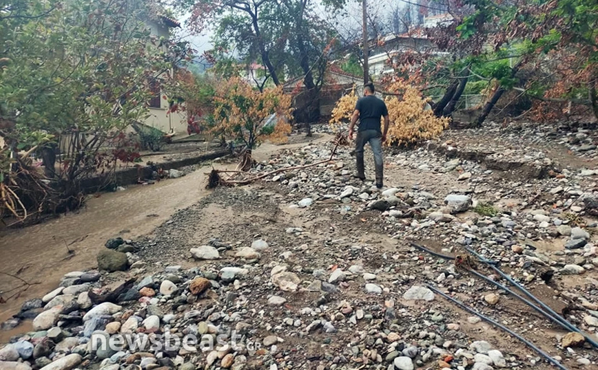 Στην παραλία Αγκάλη στη Βόρεια Εύβοια Στην παραλία Αγκάλη στη Βόρεια Εύβοια