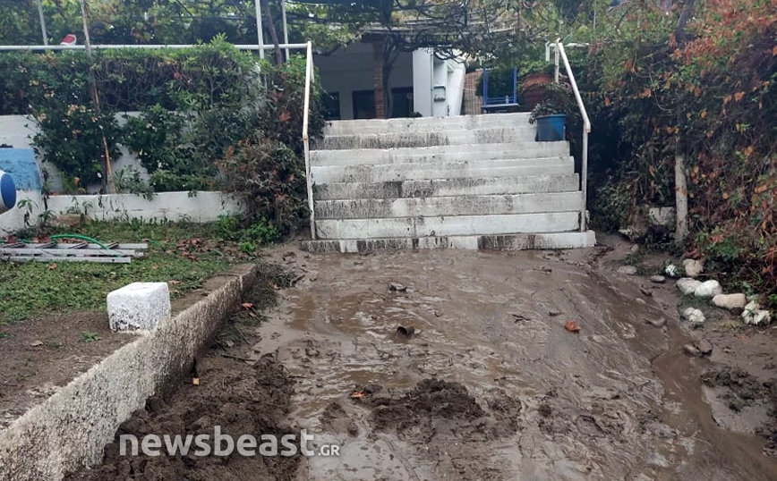 Στην παραλία Αγκάλη στη Βόρεια Εύβοια Στην παραλία Αγκάλη στη Βόρεια Εύβοια