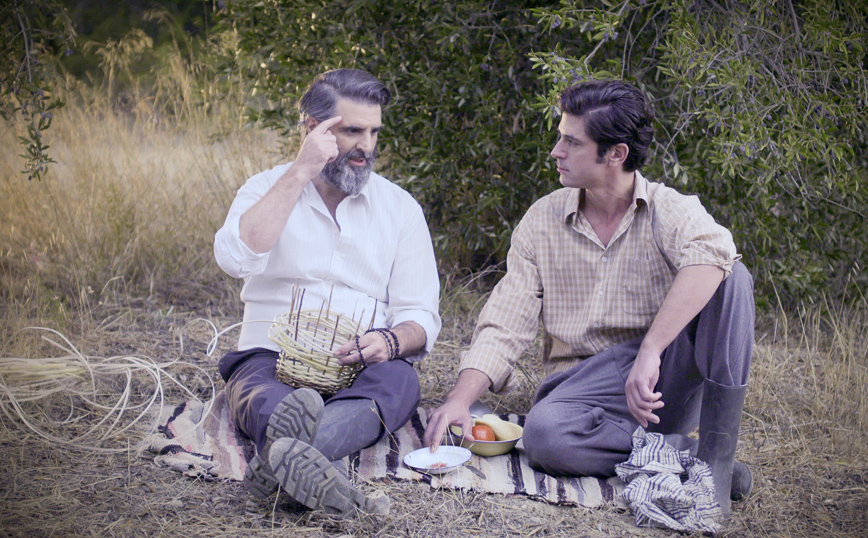 Άγριες Μέλισσες