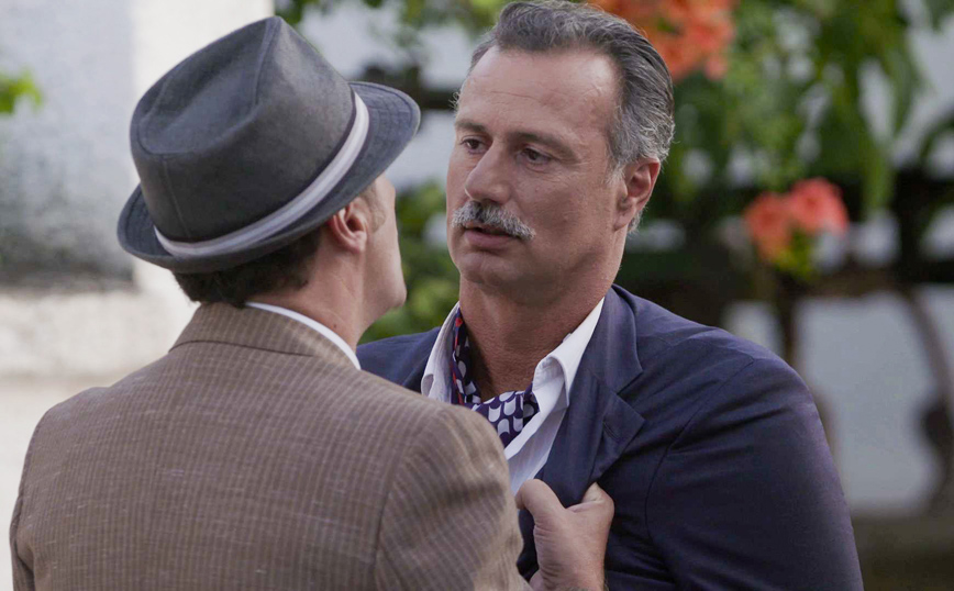 Άγριες Μέλισσες Άγριες Μέλισσες