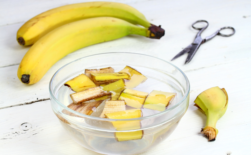 Κομμένες μπανανόφλουδες στο νερό