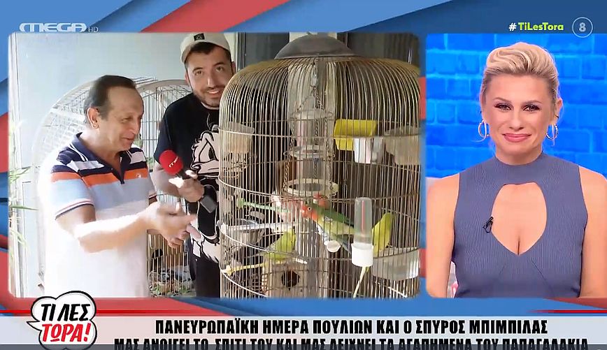 Σπύρος Μπιμπίλας: Μιλάω στα παπαγαλάκια μου κάθε πρωί