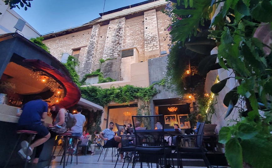 Black Duck Garden Black Duck Garden