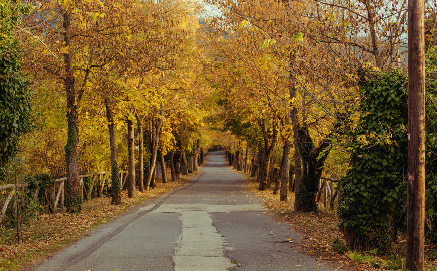 Ο δρόμος της αγάπης στη Βυτίνα Ο δρόμος της αγάπης στη Βυτίνα