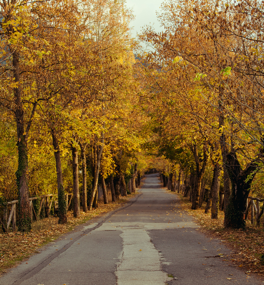 Ο δρόμος της αγάπης στη Βυτίνα Ο δρόμος της αγάπης στη Βυτίνα