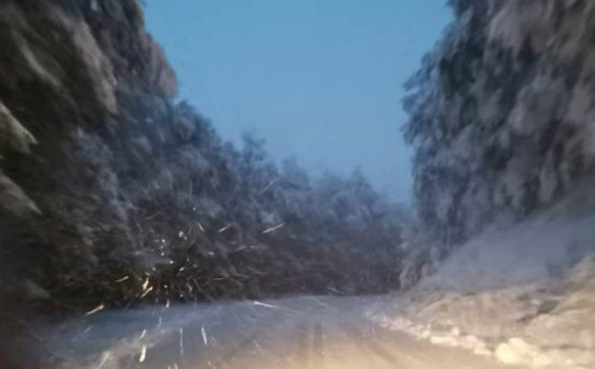 Στα λευκά «ντύθηκαν» οι ορεινές περιοχές της Φλώρινας Στα λευκά «ντύθηκαν» οι ορεινές περιοχές της Φλώρινας