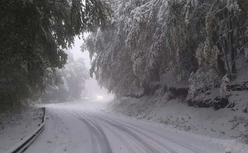 Στα λευκά «ντύθηκαν» οι ορεινές περιοχές της Φλώρινας Στα λευκά «ντύθηκαν» οι ορεινές περιοχές της Φλώρινας