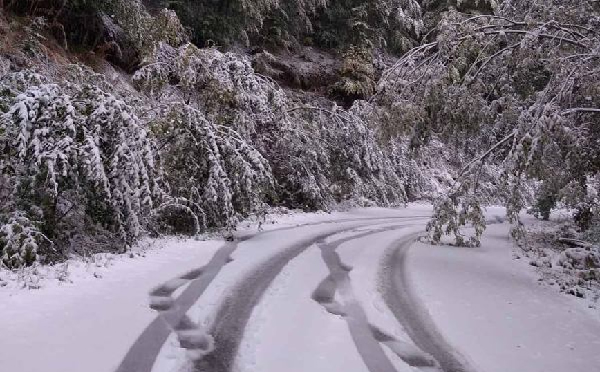 Στα λευκά «ντύθηκαν» οι ορεινές περιοχές της Φλώρινας Στα λευκά «ντύθηκαν» οι ορεινές περιοχές της Φλώρινας