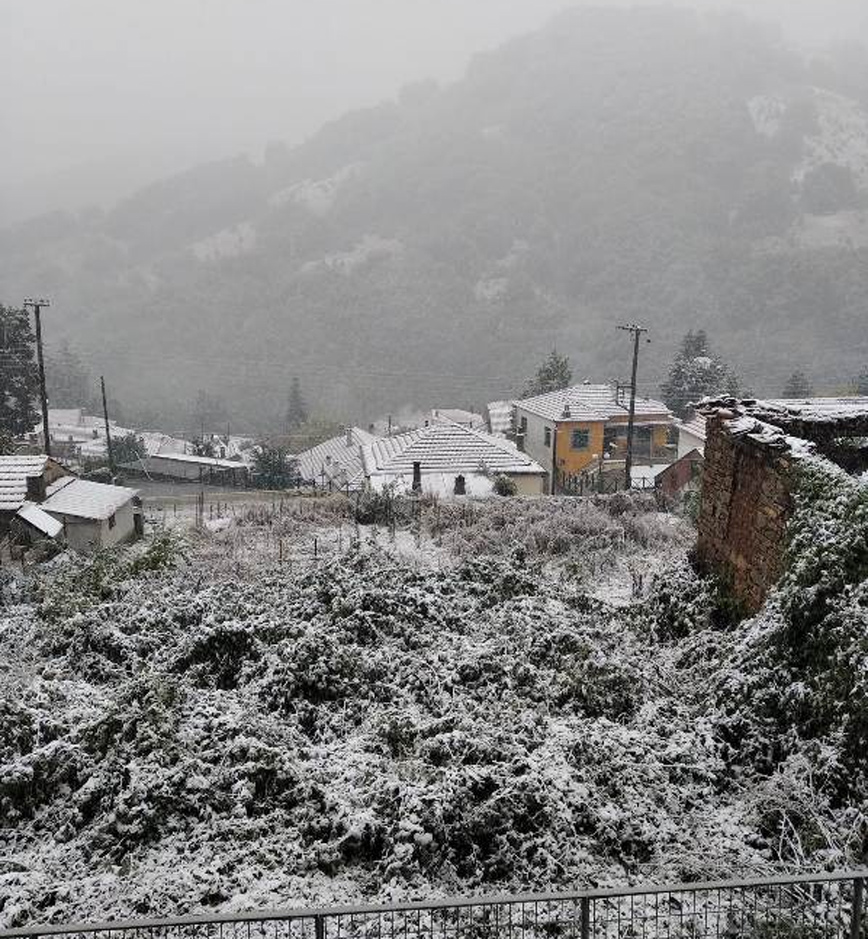 Στα λευκά «ντύθηκαν» οι ορεινές περιοχές της Φλώρινας Στα λευκά «ντύθηκαν» οι ορεινές περιοχές της Φλώρινας