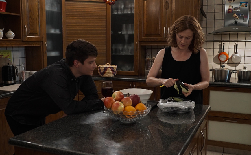 Η Γη της Ελιάς Η Γη της Ελιάς