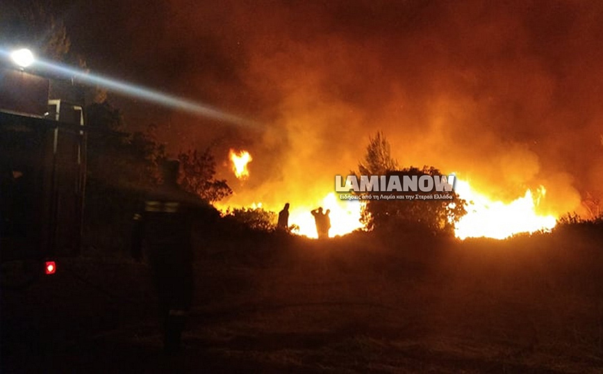 Φωτιά στο Μαρτίνο Φθιώτιδας – Καίει δασική έκταση