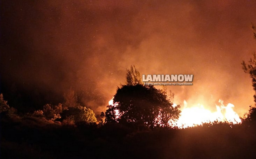 φωτιά στο Μαρτίνο φωτιά στο Μαρτίνο