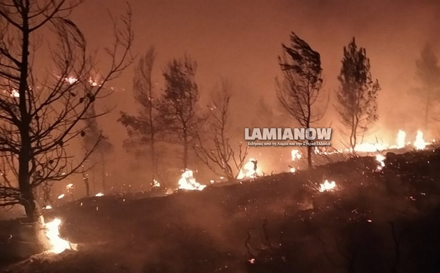φωτιά στο Μαρτίνο φωτιά στο Μαρτίνο