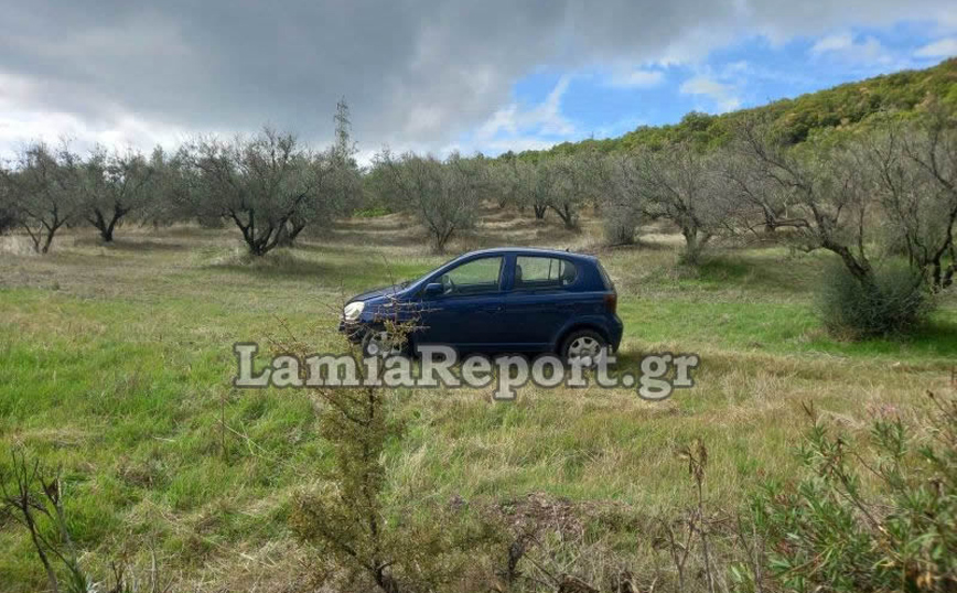 Μέλισσα προκάλεσε τροχαίο: Το αυτοκίνητο κατέληξε στα χωράφια, περνώντας ανάμεσα από δέντρα