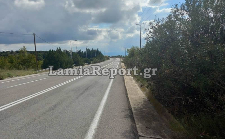 Αυτοκίνητο κατέληξε στα χωράφια μετά από τροχαίο που προκάλεσε μέλισσα Αυτοκίνητο κατέληξε στα χωράφια μετά από τροχαίο που προκάλεσε μέλισσα