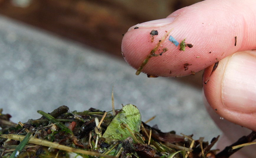 Μικροπλαστικά Μικροπλαστικά
