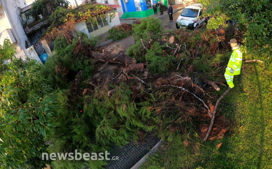 Κακοκαιρία Μπάλλος: Εικόνες από πεσμένο δέντρο στο Περιστέρι που έκοψε τον δρόμο στα δύο