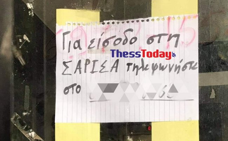 Σάρισα Σάρισα