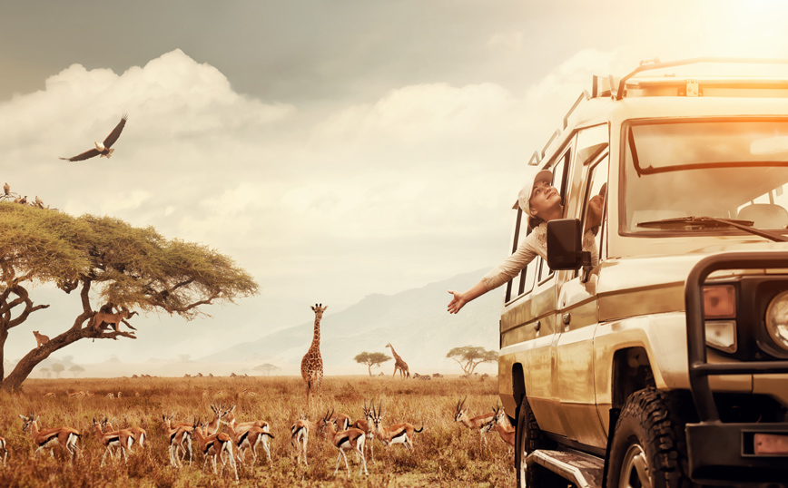 Γυναίκα σε σαφάρι Γυναίκα σε σαφάρι