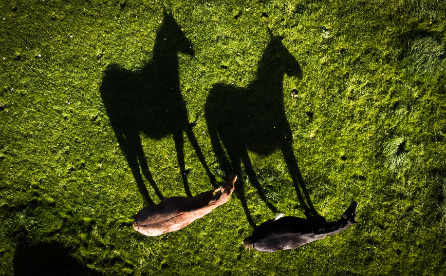 Οι φωτογραφίες της εβδομάδας Οι φωτογραφίες της εβδομάδας